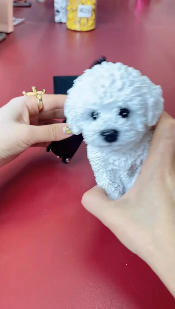 瓷片别算了真划算@@XQ1130