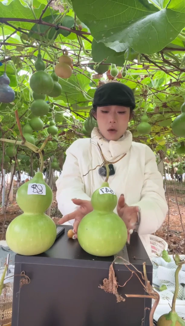 2****星547天然葫芦摆件 一物一拍龙头不保售后