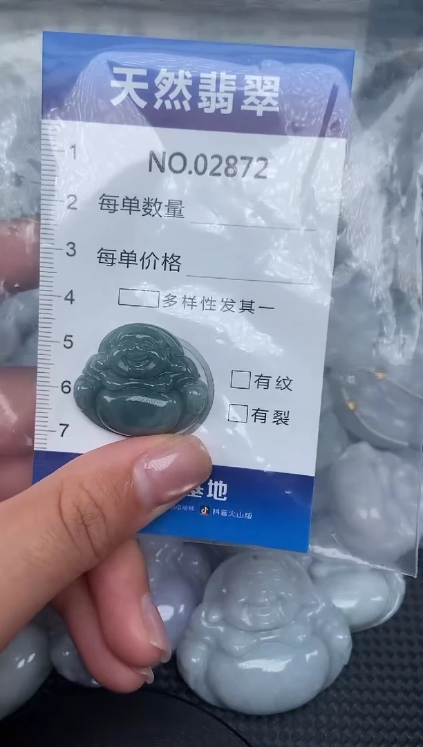 颈饰未镶嵌翡翠纯天然A货翡翠2872