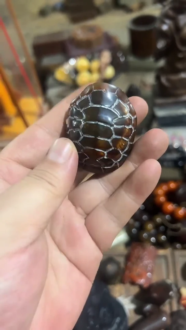 紫砂紫砂紫砂紫砂紫砂紫砂