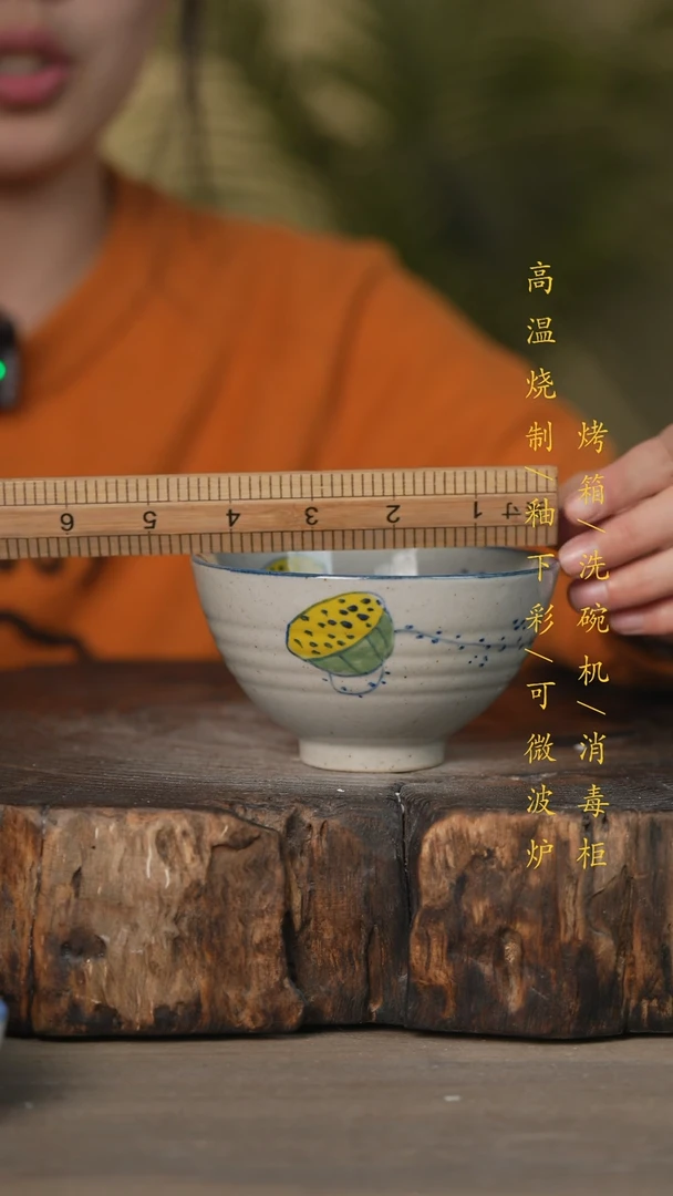 【闪购商品】瓷片景德镇高温釉下彩可微波烤箱洗碗机