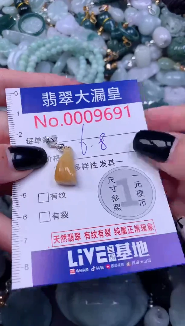 颈饰未镶嵌翡翠9691