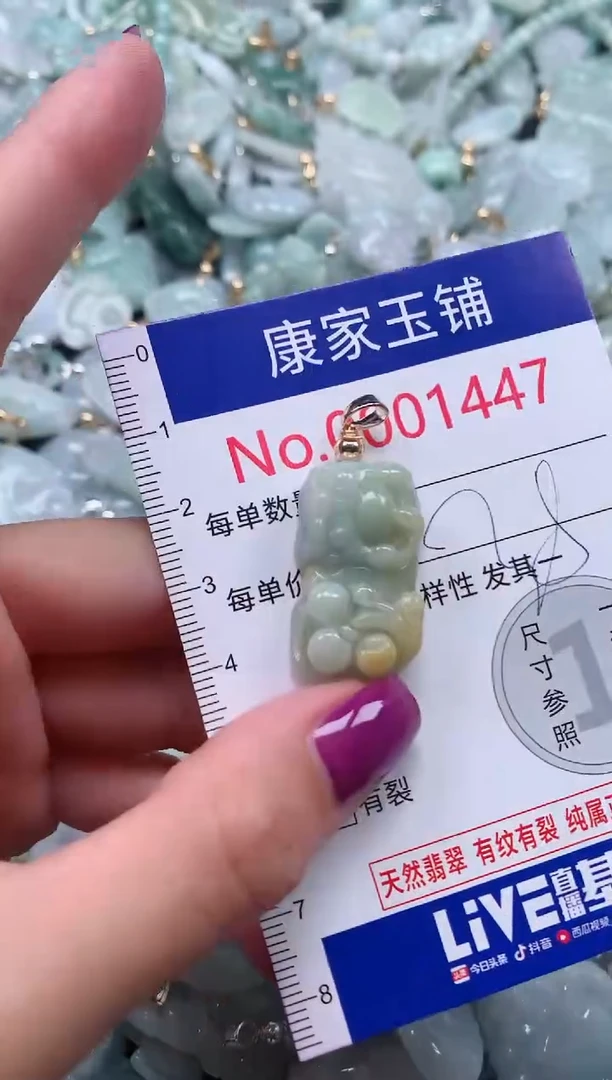 颈饰未镶嵌翡翠1447