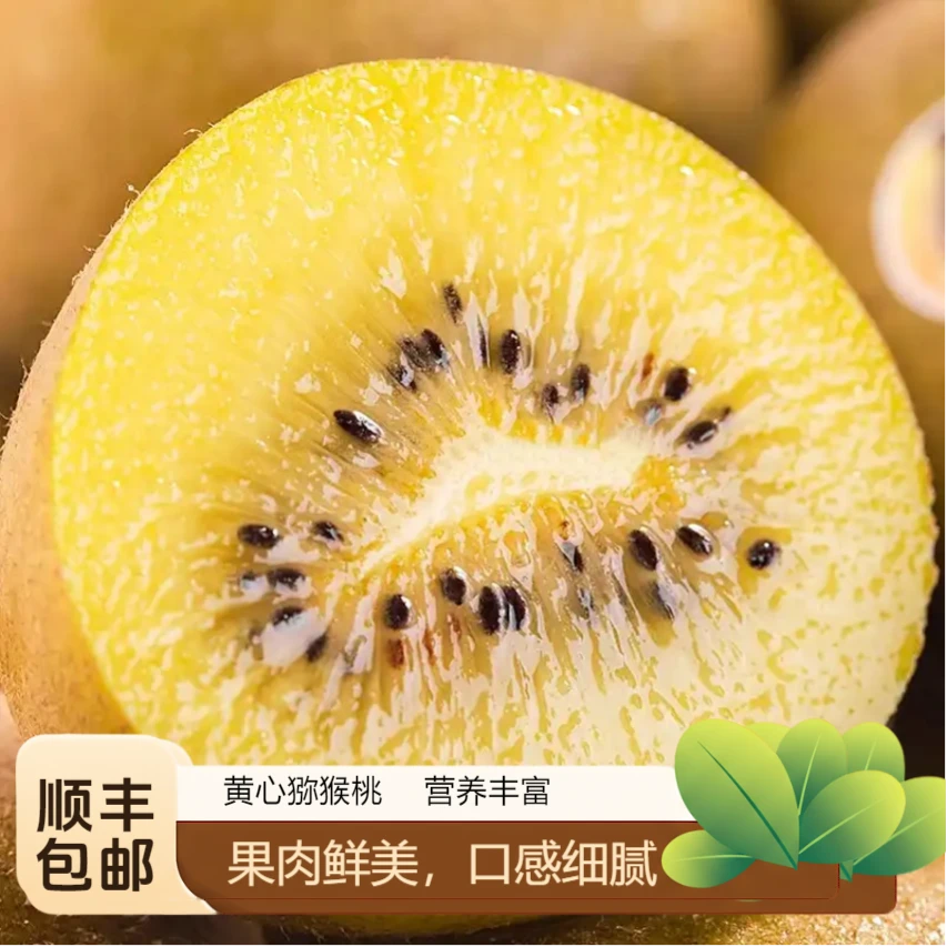 【顺丰包邮】贵州高品质黄心猕猴桃新鲜水果汁多甜蜜现摘现产地直发