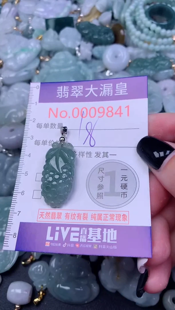 颈饰未镶嵌翡翠9842