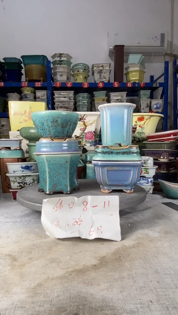 251507六只美人醉花盆