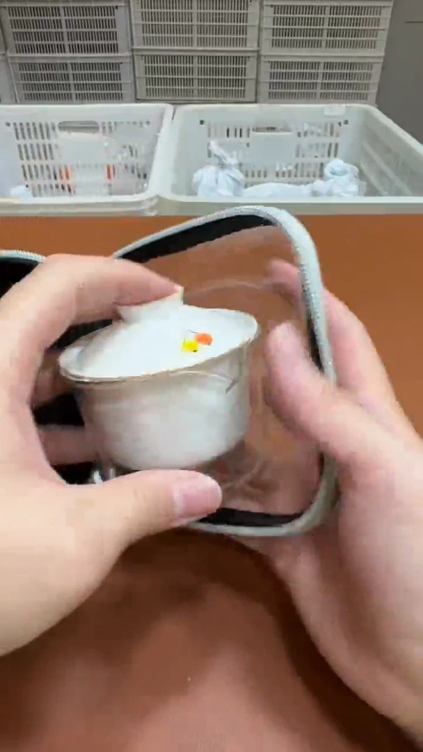11【闪购商品】1111111111