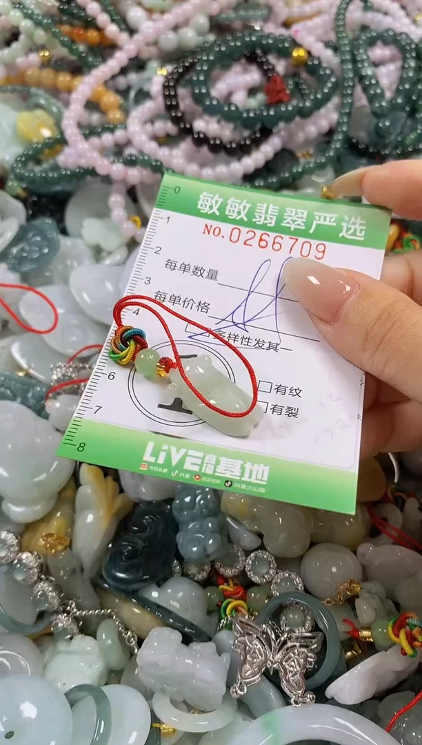 翡翠未镶嵌颈饰闪购0266709多样性发其一