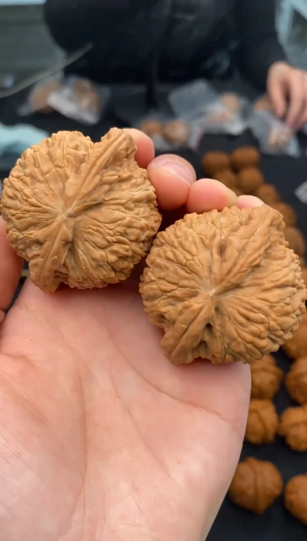 【闪购商品】文玩核桃把件白狮子46-u545