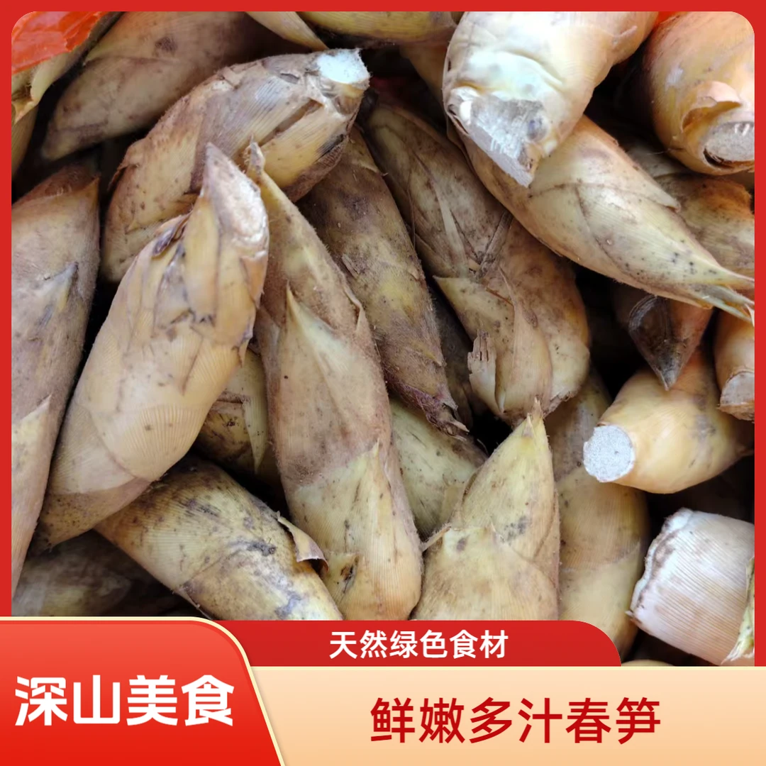 新鲜冬笋去老根拱两头尖楠竹笋应季蔬菜（农户代卖）