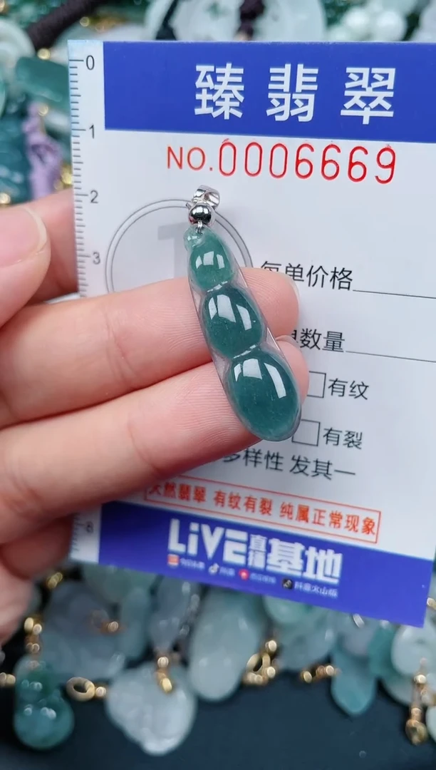 颈饰未镶嵌翡翠.0006669