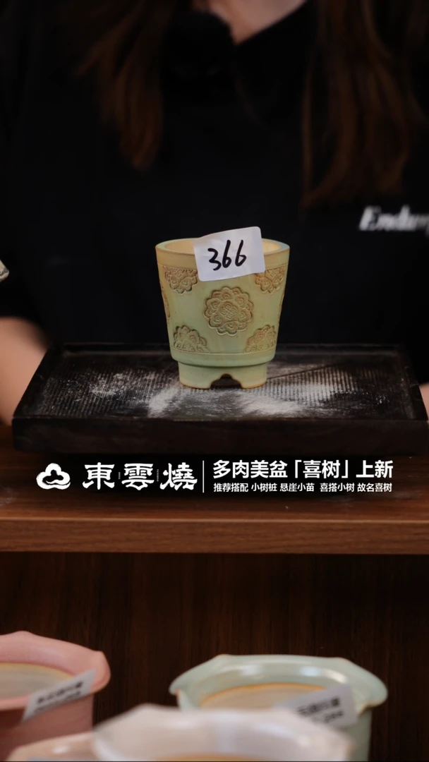 0603-366A 常宿口6