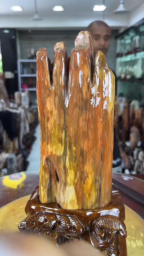 硅化玉珠宝奇石未镶嵌缅甸天然树化玉