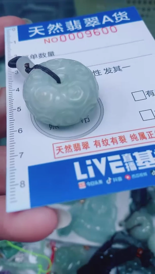 颈饰未镶嵌翡翠00009600