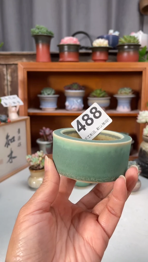 瓷片488小芳直播编号