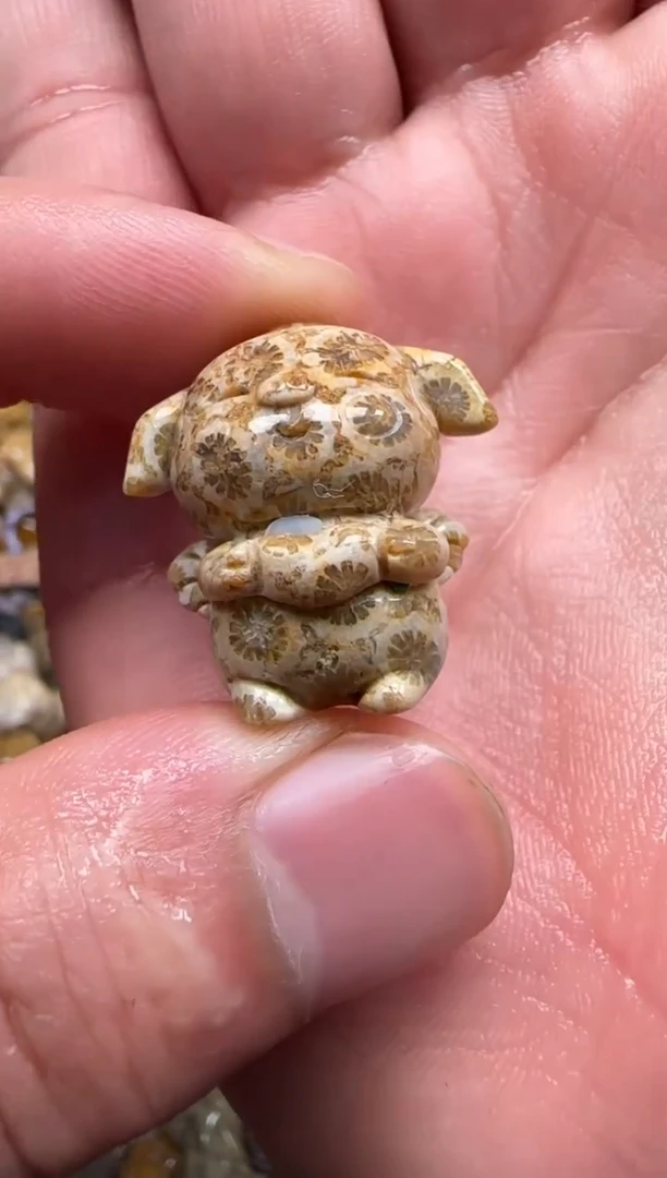 【闪购商品】硅化珊瑚（珊瑚玉）颈饰未镶嵌514