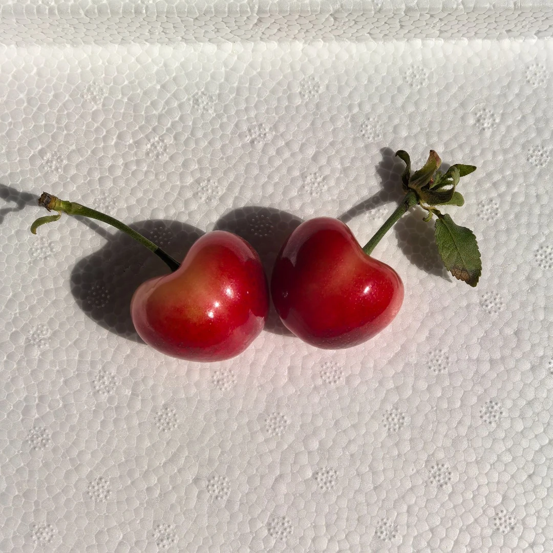 大连正宗美国红黄金果大樱桃