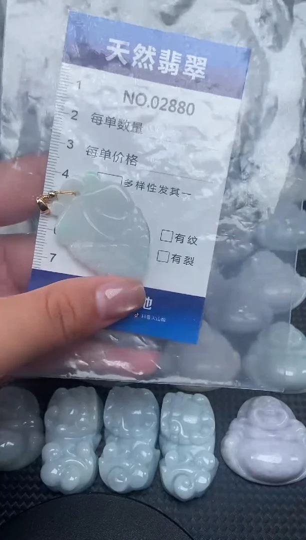 颈饰未镶嵌翡翠纯天然A货翡翠2880