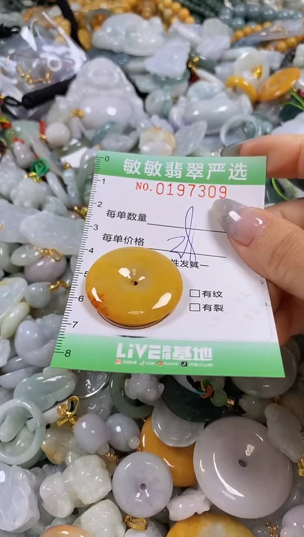 翡翠未镶嵌颈饰闪购0197309