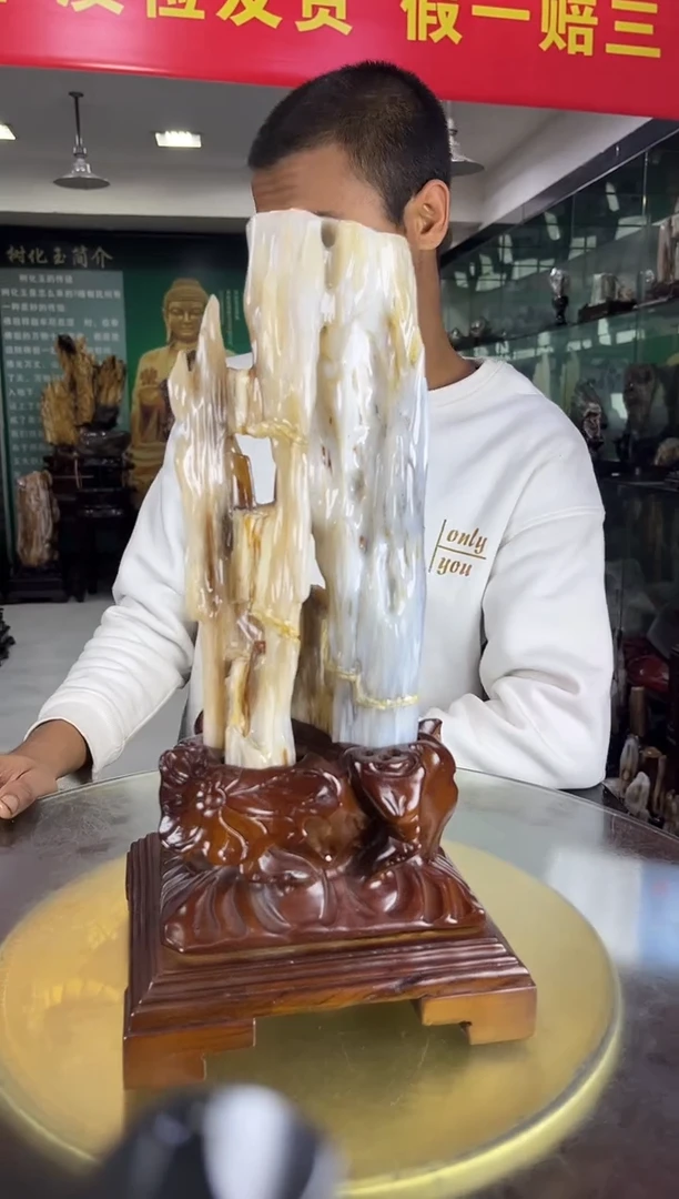 缅甸天然树化玉精品摆件