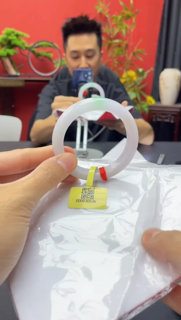 未镶嵌手镯翡翠12