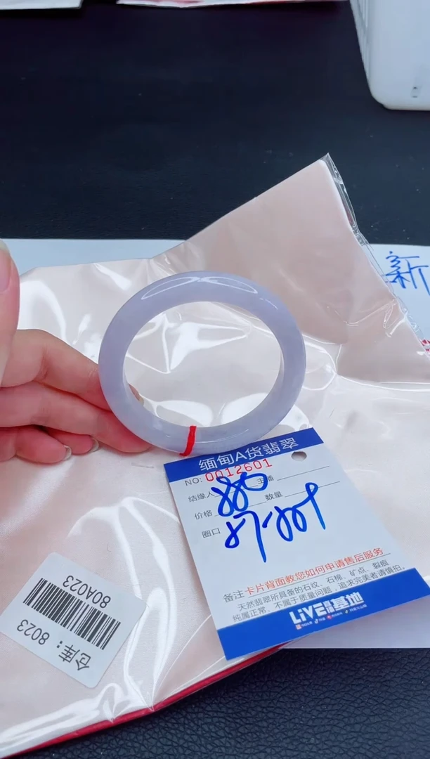 未镶嵌手镯翡翠我t1