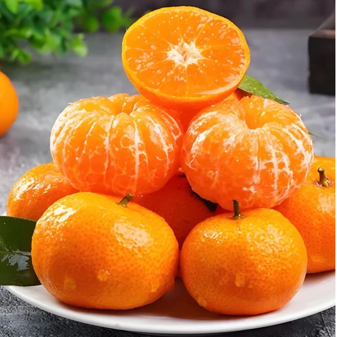 沙糖桔（一箱）四川7斤 不知火