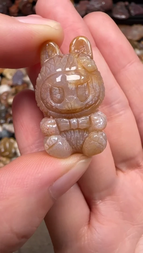 硅化珊瑚（珊瑚玉）未镶嵌颈饰564