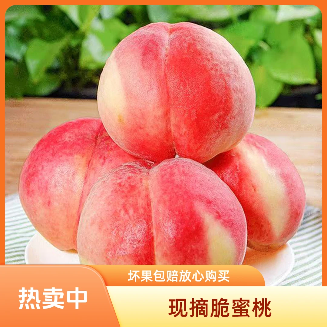 【坏果包赔】红不软脆桃山西运城现摘脆甜可口清爽应季水果