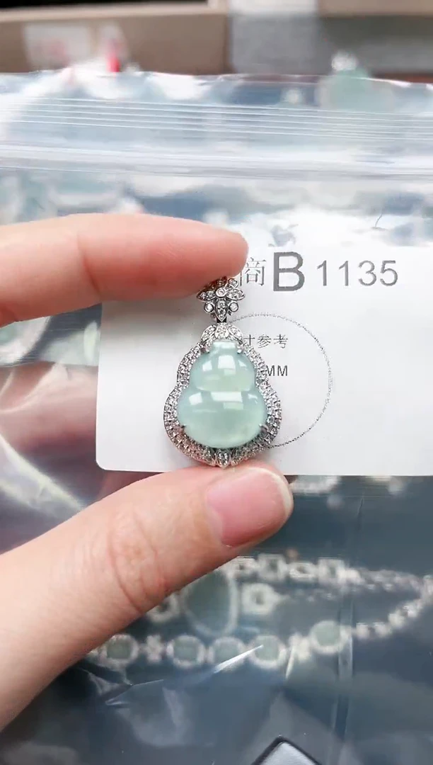 【闪购商品】翡翠颈饰未镶嵌赠皮绳1135