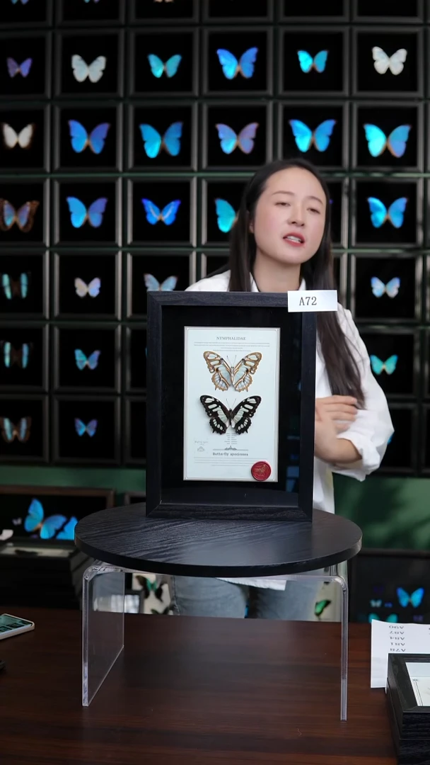 蝴蝶标本摆件竞拍A72