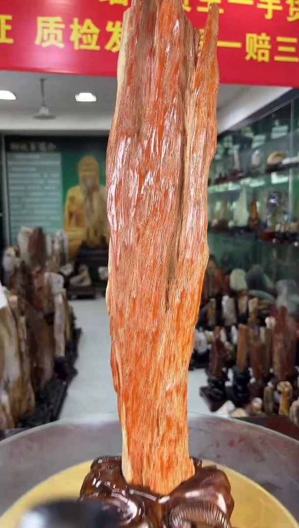 未镶嵌珠宝奇石硅化玉缅甸天然树化玉摆件