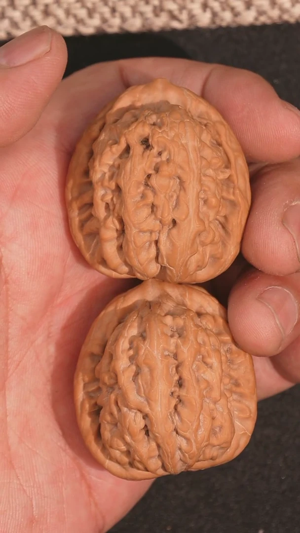 【闪购商品】文玩核桃把件红锦鲤40全品