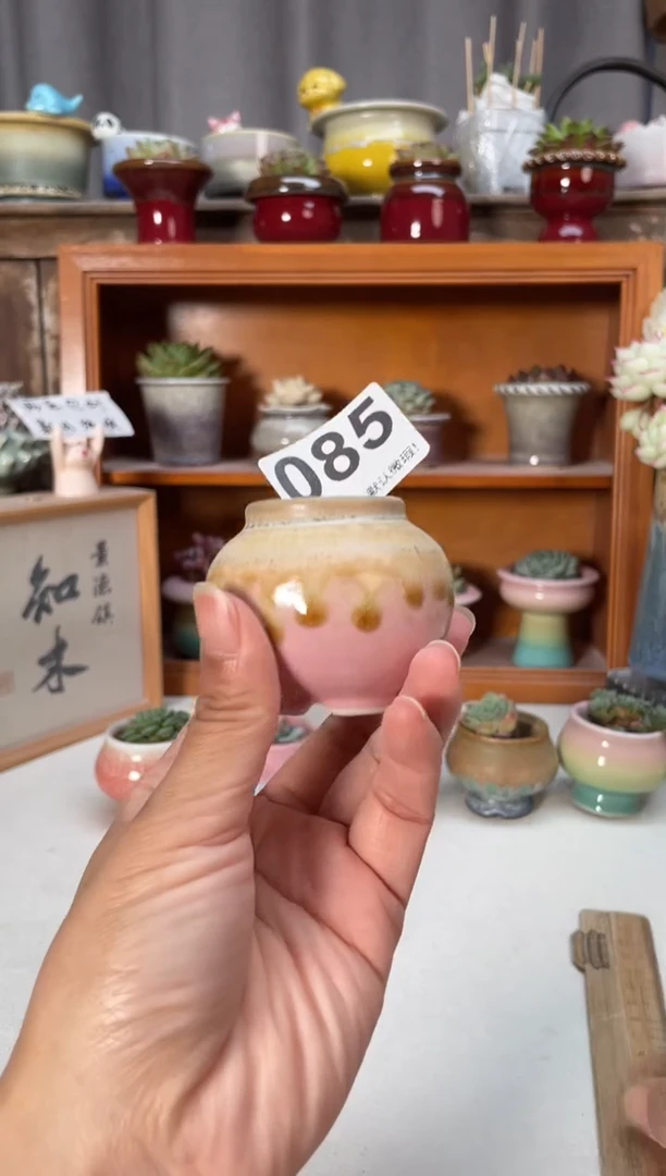 瓷片085小芳直播编号