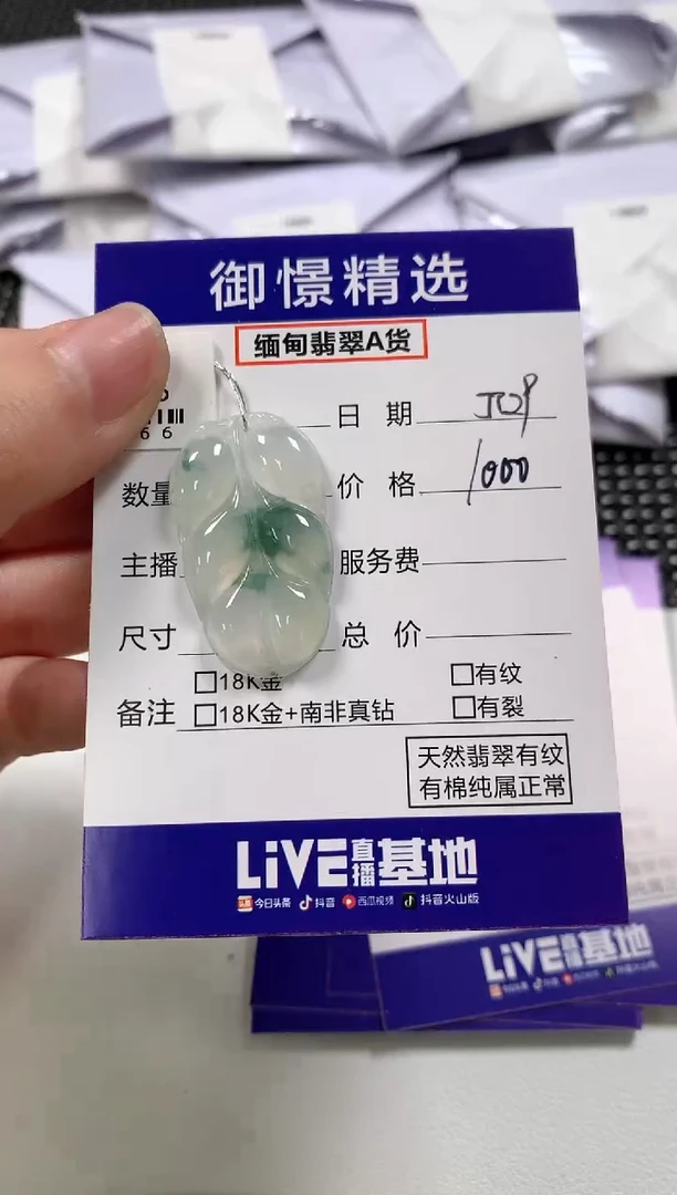 翡翠未镶嵌颈饰13