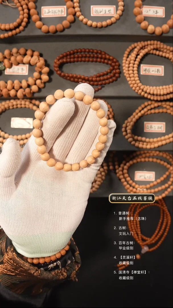 【闪购商品】五线菩提吊坠古树籽手串