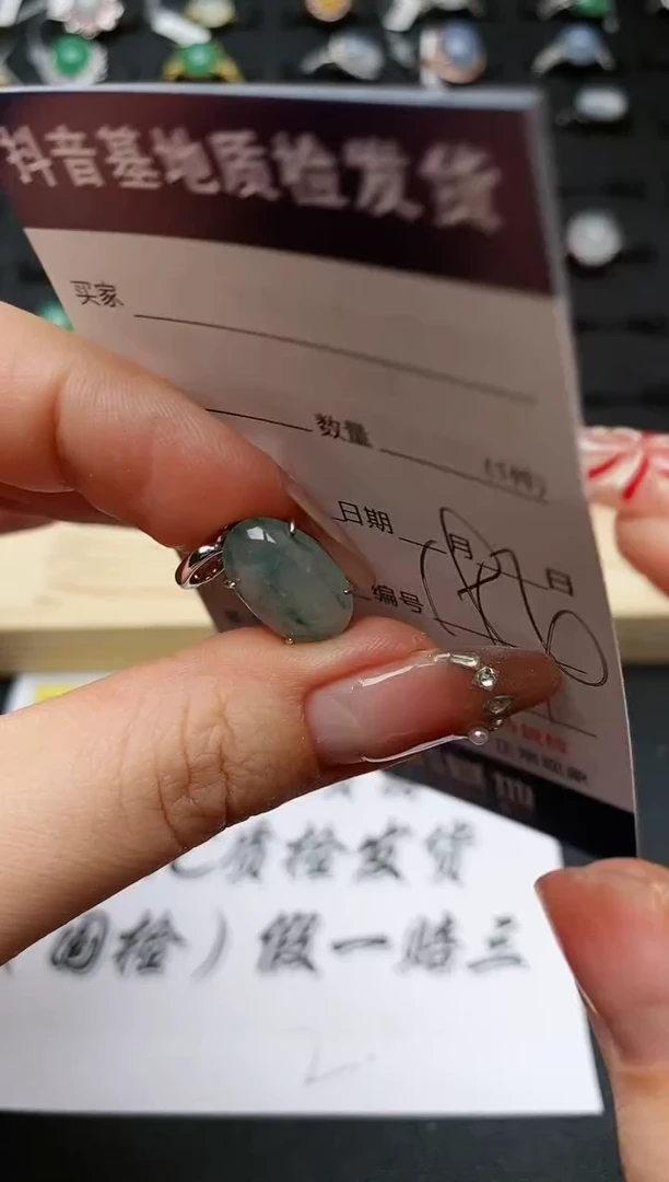 【闪购商品】翡翠颈饰银S925镶嵌..........