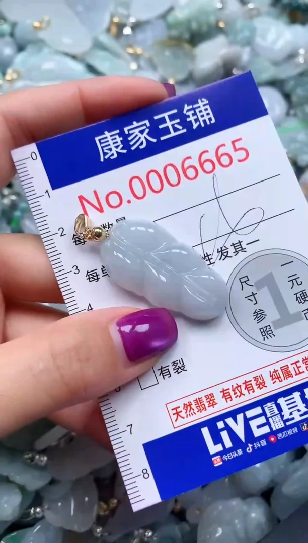 颈饰未镶嵌翡翠6665