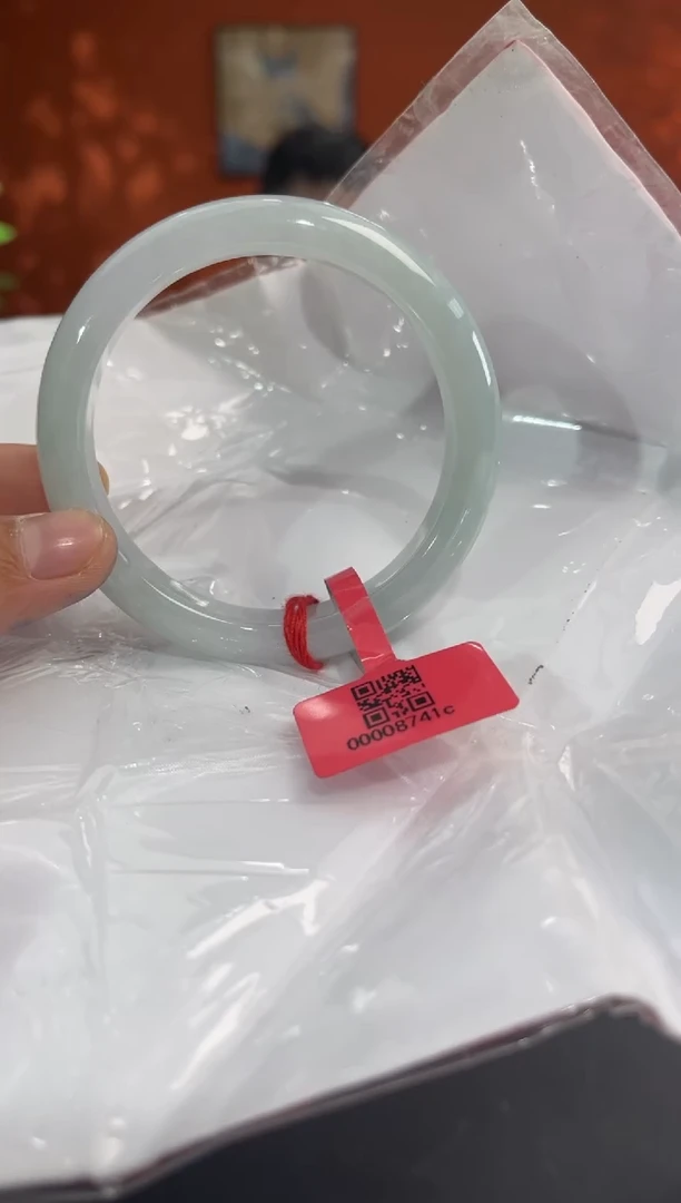 未镶嵌手镯翡翠5