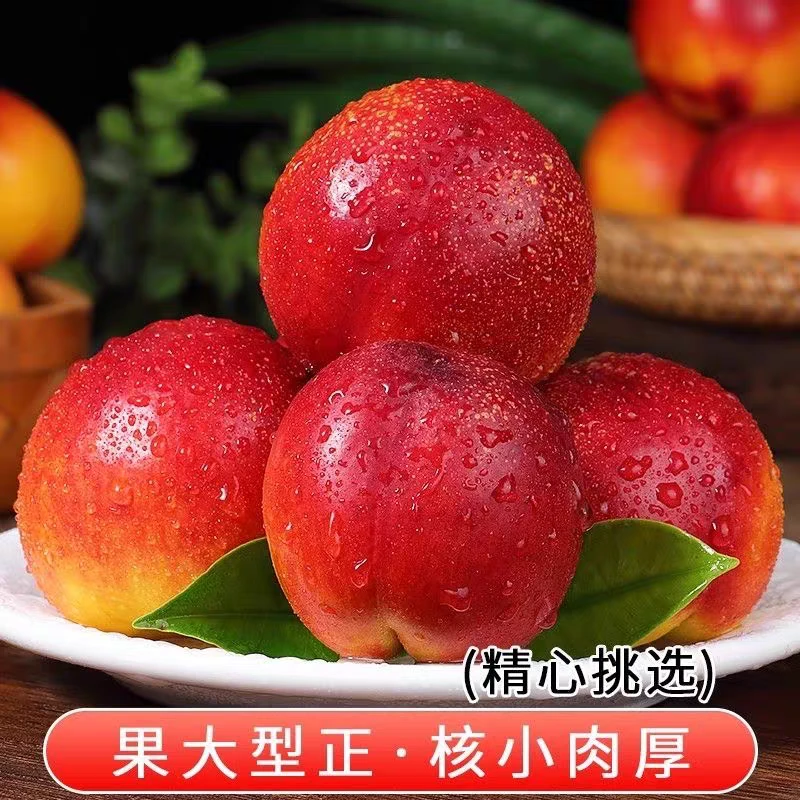 山东中油4号黄肉油桃新鲜超大脆甜鲜嫩多汁应季水果桃子产地直发