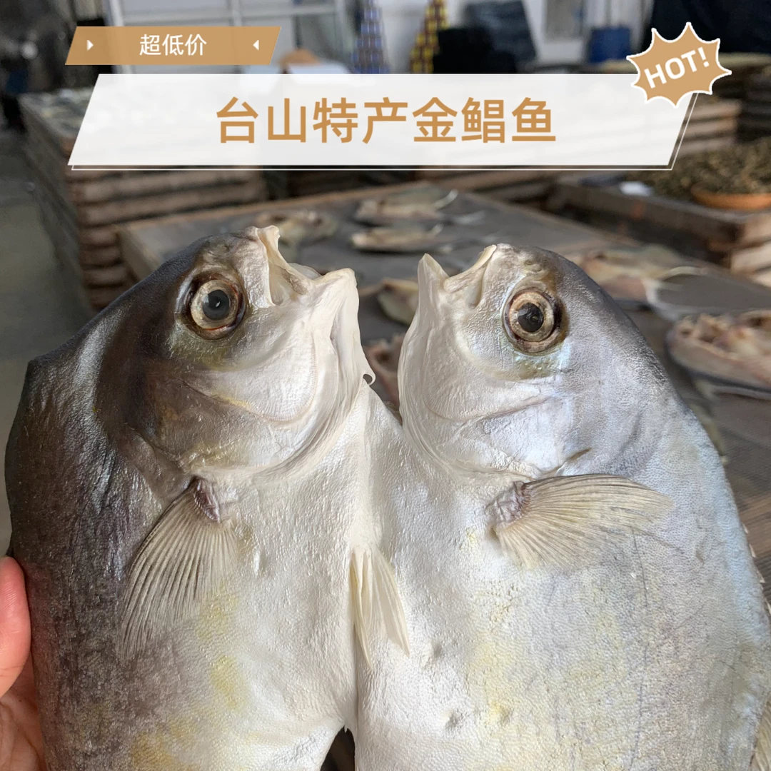 台山特产 足干淡口开边金鲳鱼 三条装