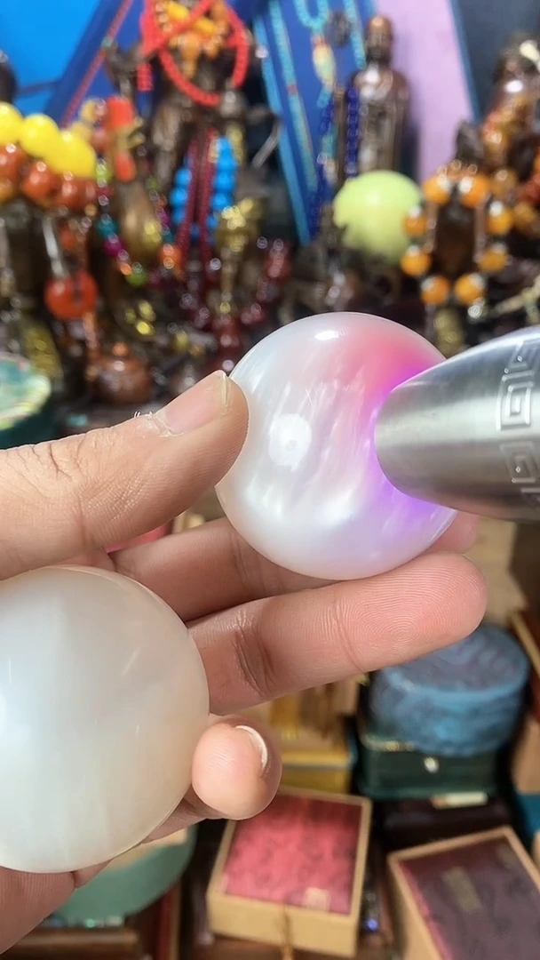 【闪购商品】贝壳手串/手链猪妹精品链接摆件