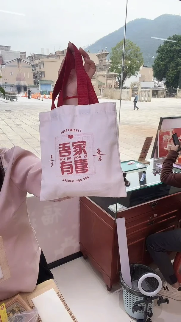 龙母吉物创意小收纳袋