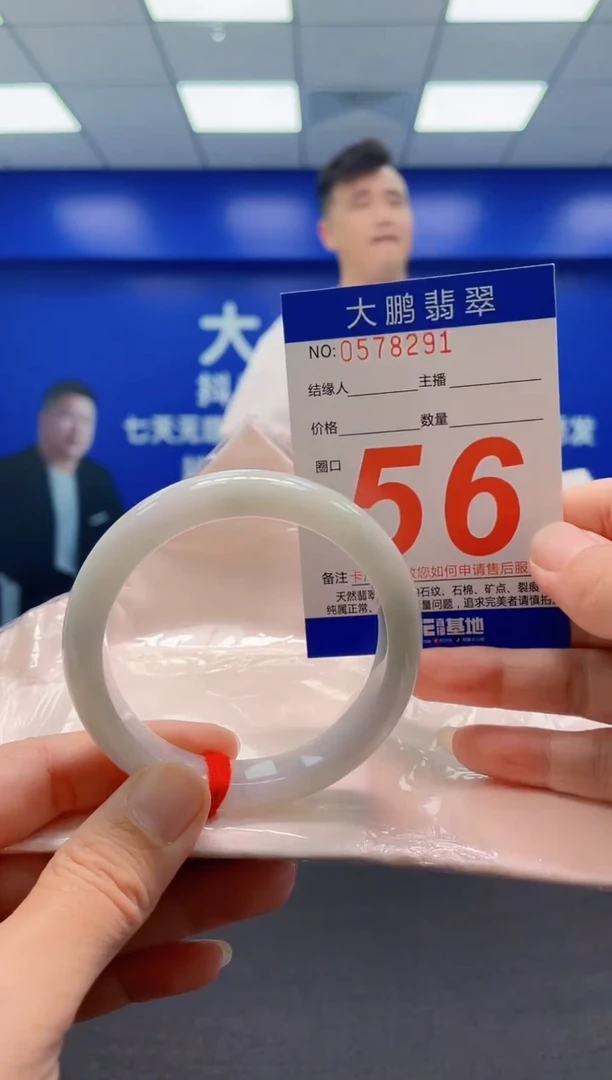 未镶嵌手镯翡翠AAAAAAAAA