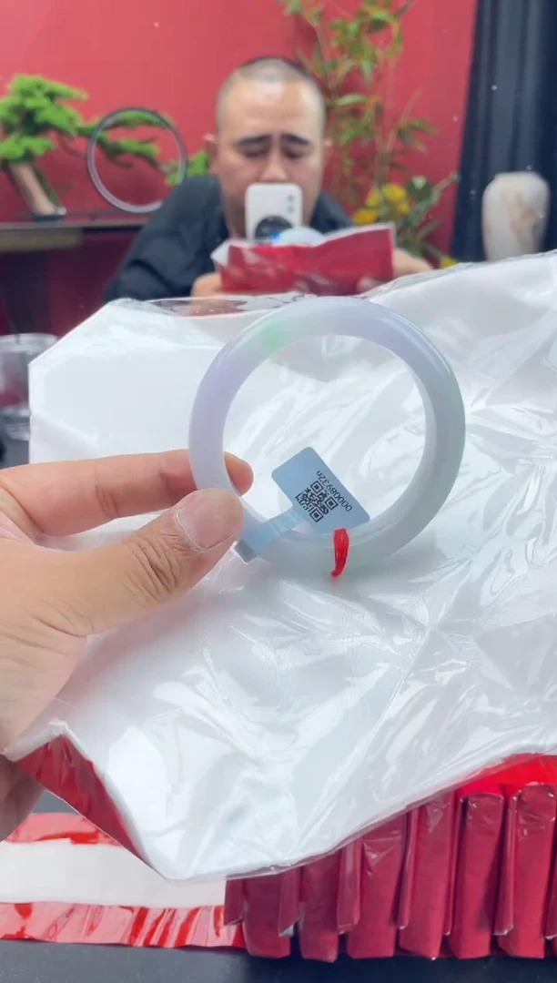 未镶嵌手镯翡翠2