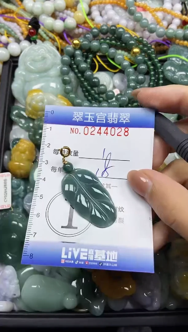 颈饰未镶嵌翡翠闪购C0244028
