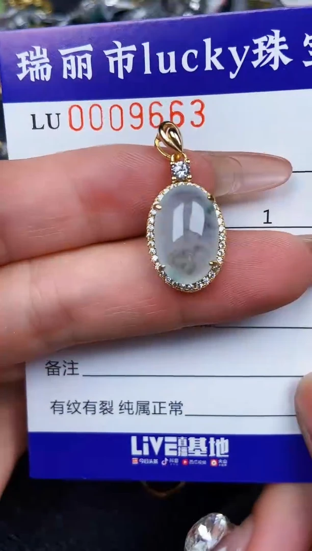 翡翠银S925镶嵌颈饰9663