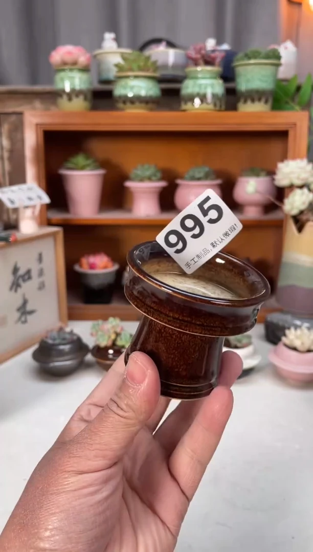 瓷片995小芳直播编号