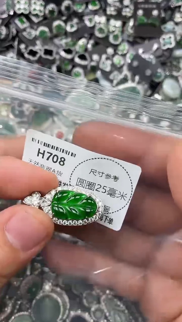 翡翠未镶嵌颈饰H708吊坠