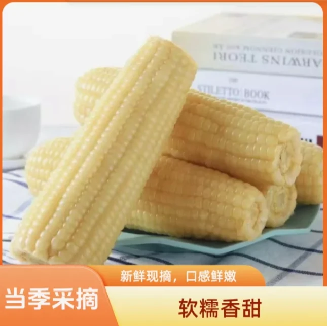 【祥哥专属】东北奶香大白糯香甜玉米